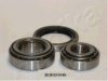 ASHIKA 44-22006 Wheel Bearing Kit